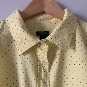 J. Crew Yellow & Purple Polkadot Oxford Shirt Size Large